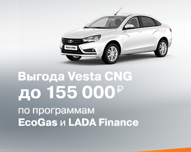 Программа «ECOGAS»